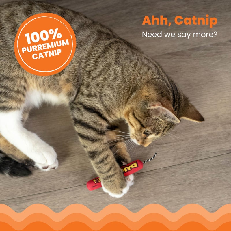 Catstages Green Magic Dynamite Stick Catnip Cat Toy - Image 3